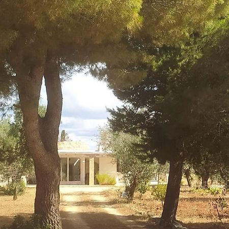 Trullo Contrada Specchi Apartment Ракале Екстериор снимка