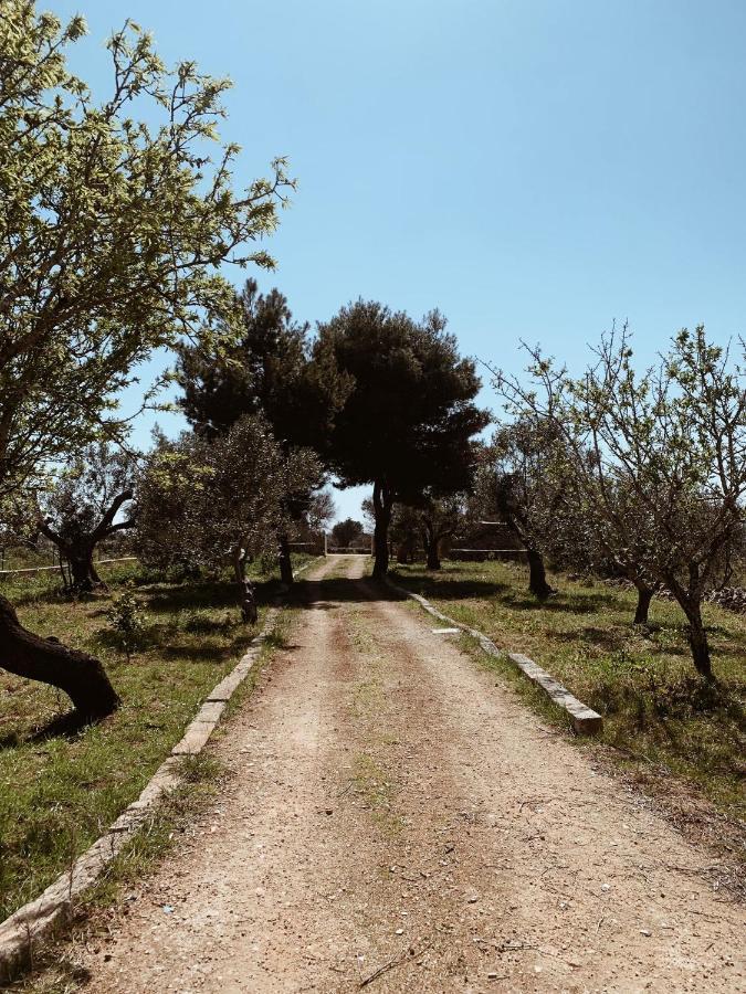 Trullo Contrada Specchi Apartment Ракале Екстериор снимка