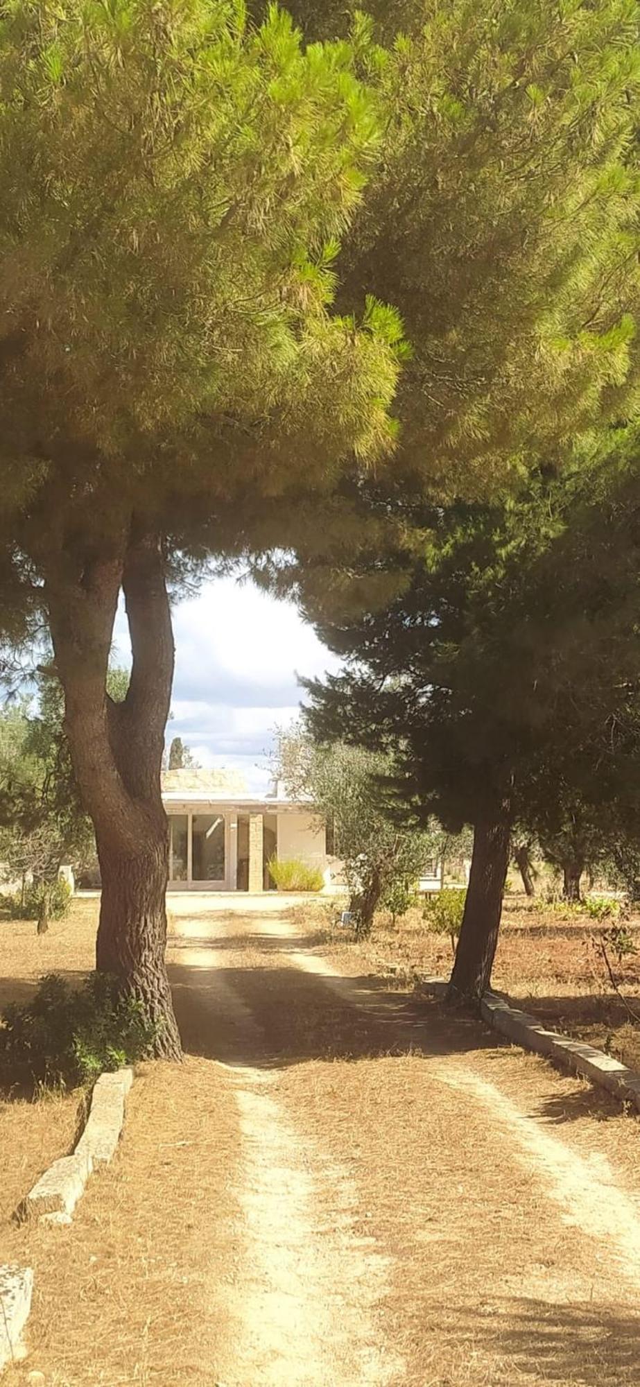 Trullo Contrada Specchi Apartment Ракале Екстериор снимка