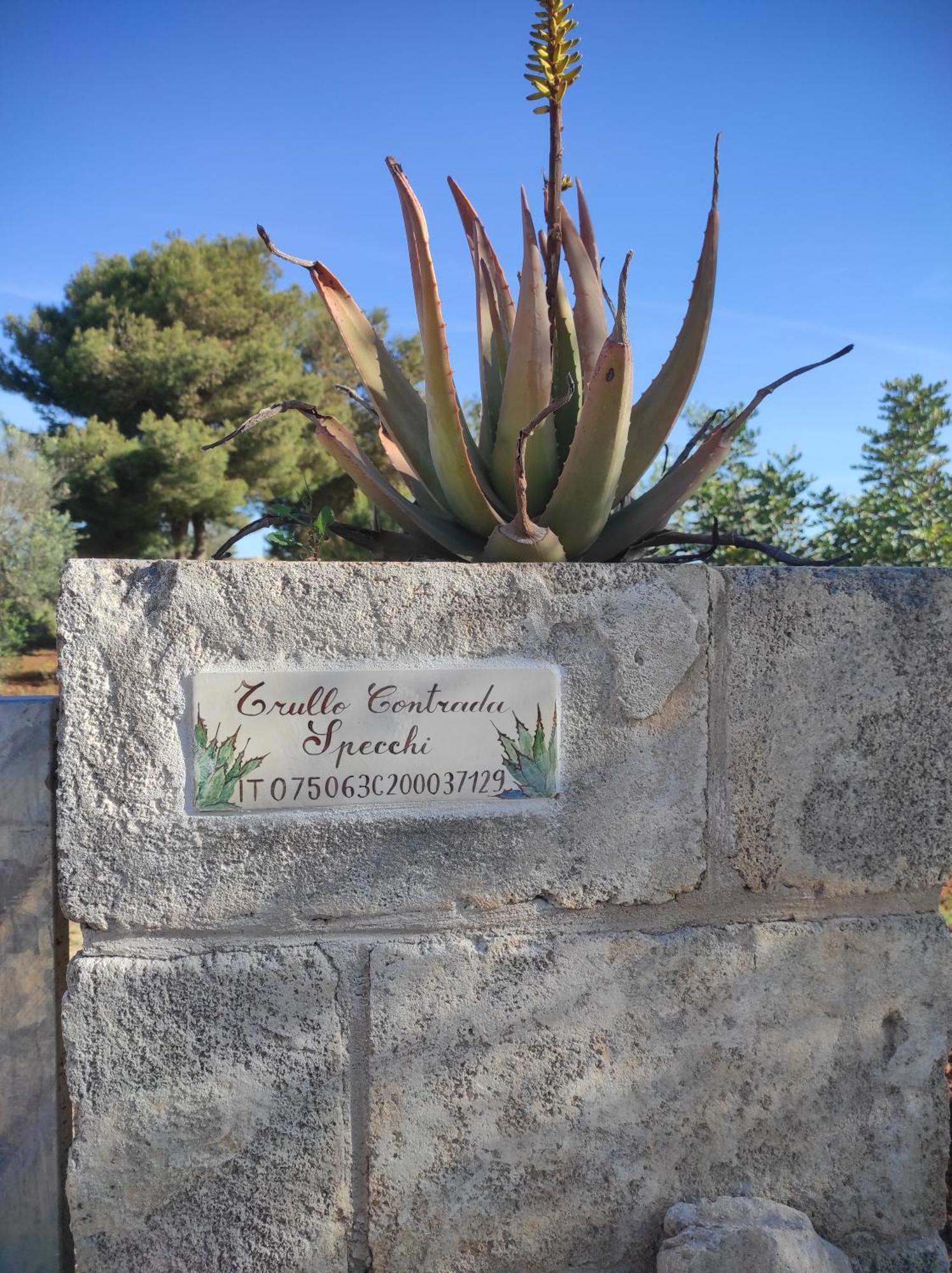 Trullo Contrada Specchi Apartment Ракале Екстериор снимка