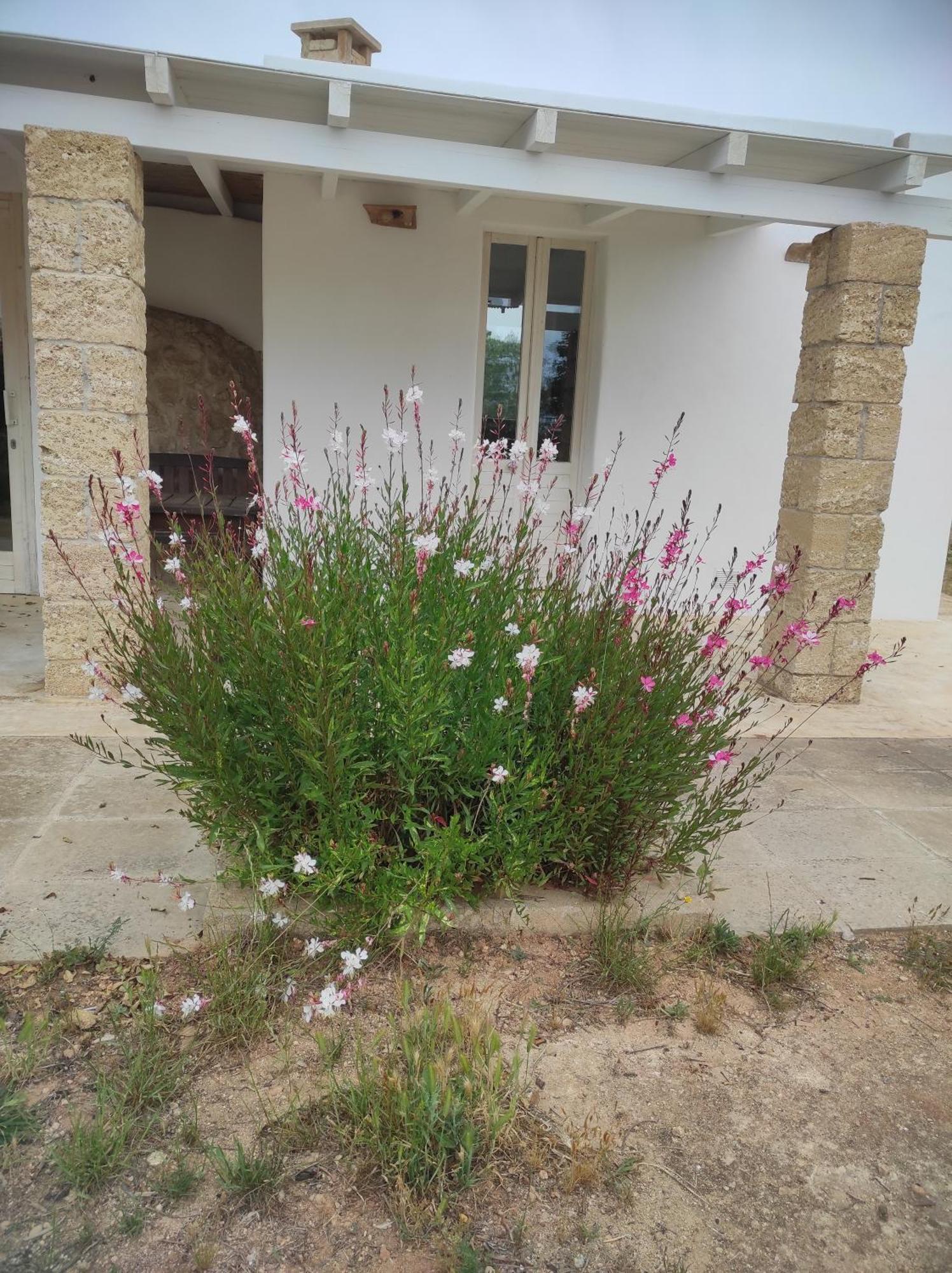 Trullo Contrada Specchi Apartment Ракале Екстериор снимка