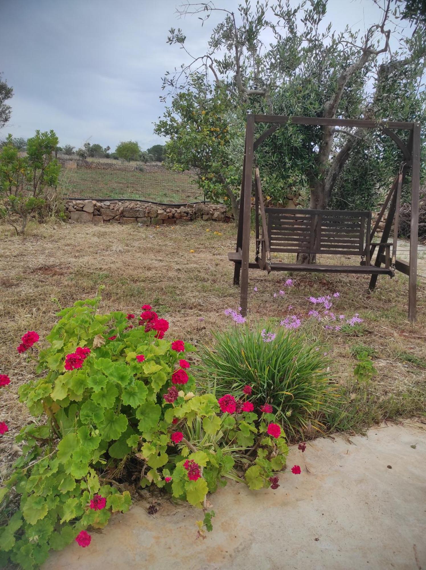 Trullo Contrada Specchi Apartment Ракале Екстериор снимка